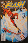 The Flash Issue #12