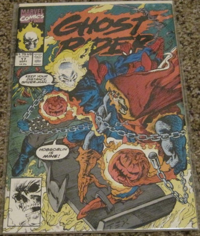 Ghost Rider Issue #17