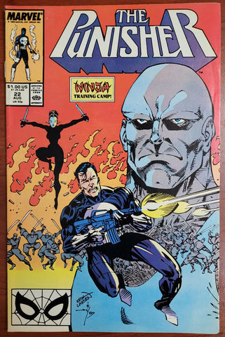 The Punisher Issue #22