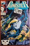 The Punisher Issue #41